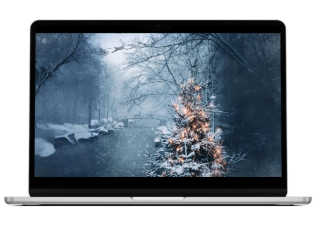 Ein Weihnachtsfall